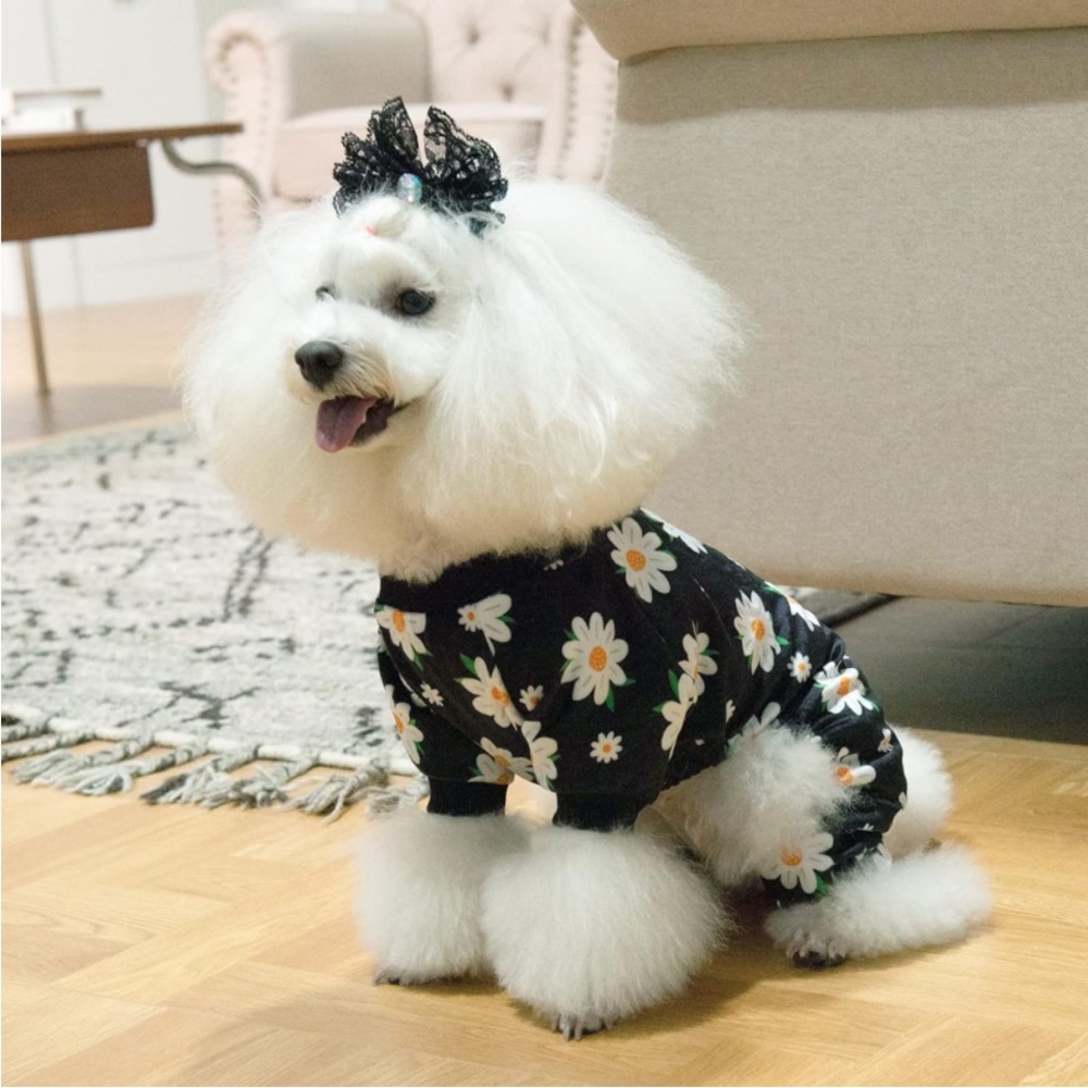 New CuteBone Daisy Dog Pajamas Soft Puppy Pjs for X Small Dogs